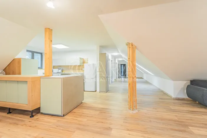 Pronájem bytu 4+kk, Srbsko, Nad Kapličkou, 180 m2