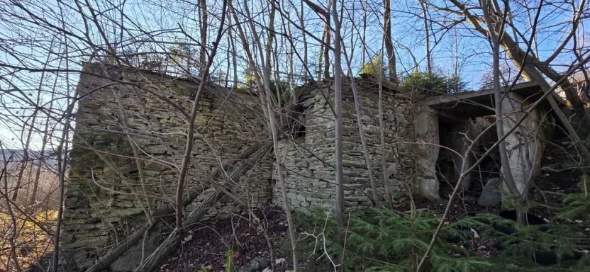 Prodej komerčního pozemku, Petrovice, 151 m2