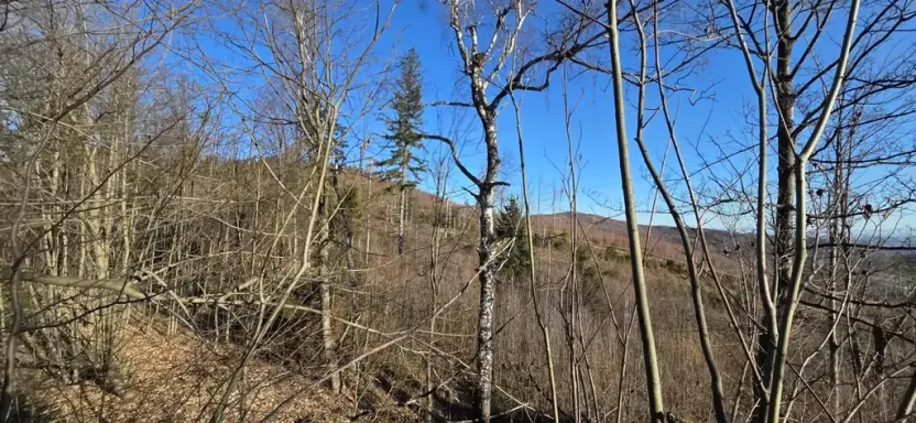 Prodej komerčního pozemku, Petrovice, 151 m2