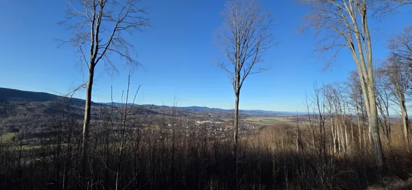 Prodej komerčního pozemku, Petrovice, 151 m2