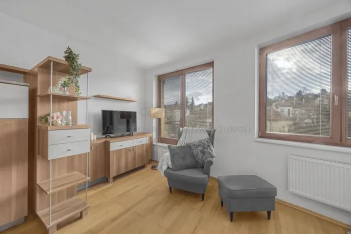 Prodej bytu 1+kk, Praha - Podolí, Dvorecká, 34 m2