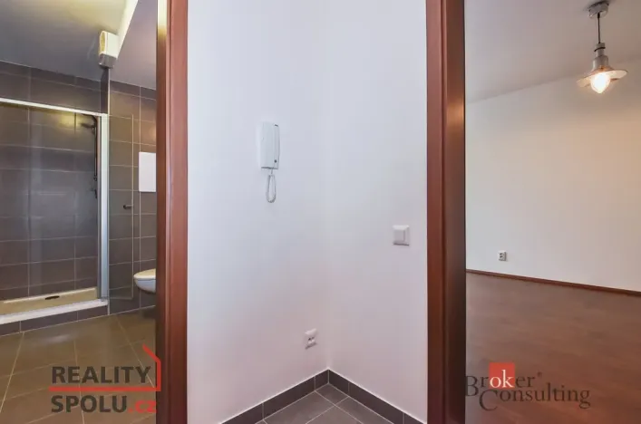 Pronájem bytu 1+kk, Praha - Žižkov, Olgy Havlové, 29 m2