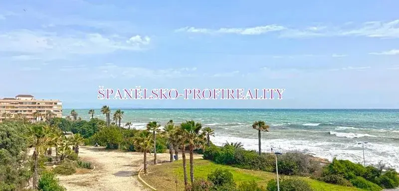 Prodej bytu 2+kk, Torrevieja, Španělsko, 38 m2