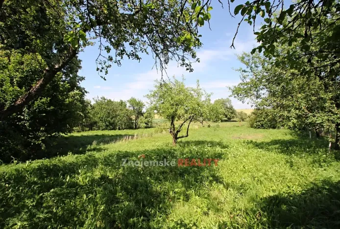 Prodej rodinného domu, Grešlové Mýto, 100 m2