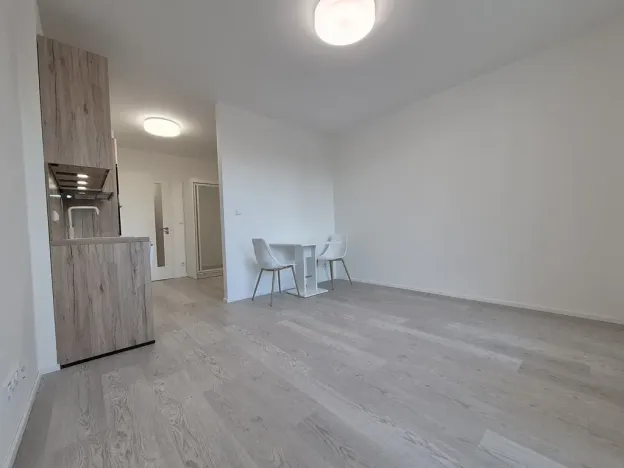 Pronájem bytu 1+kk, Brno, třída Generála Píky, 35 m2