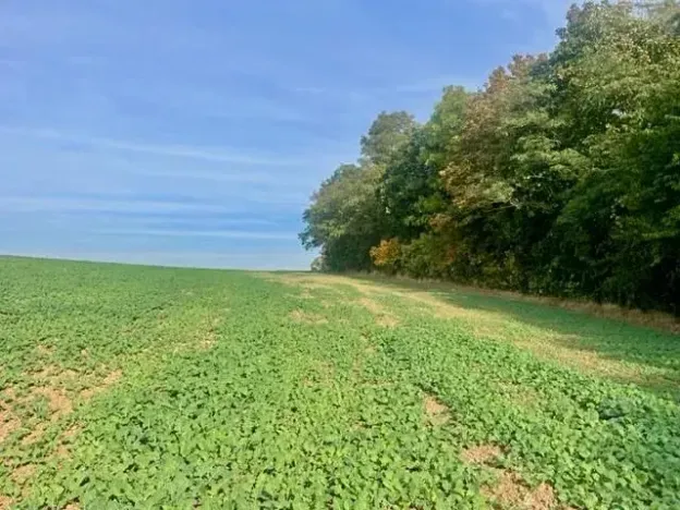 Prodej pole, Praha - Liboc, Na Padesátníku I, 24066 m2