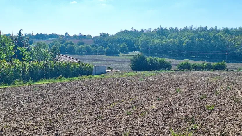 Prodej pozemku pro bydlení, Hrušovany u Brna, Pod Střediskem, 988 m2