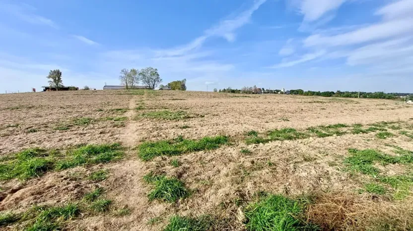 Prodej pozemku pro bydlení, Hrušovany u Brna, Pod Střediskem, 874 m2