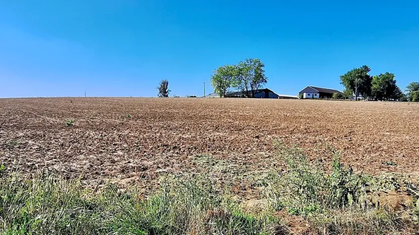 Prodej pozemku pro bydlení, Hrušovany u Brna, Pod Střediskem, 898 m2