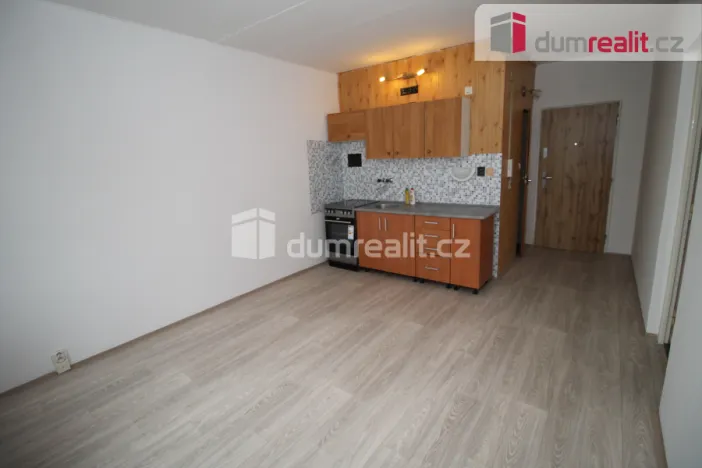 Pronájem bytu 1+1, Nové Sedlo, Revoluční, 38 m2