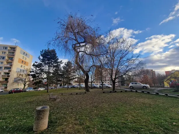 Pronájem bytu 3+1, Litoměřice, Liškova, 70 m2