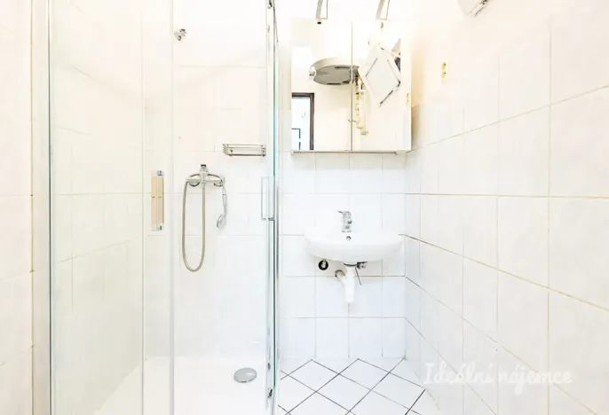 Pronájem bytu 1+kk, Praha - Libeň, Drahobejlova, 23 m2