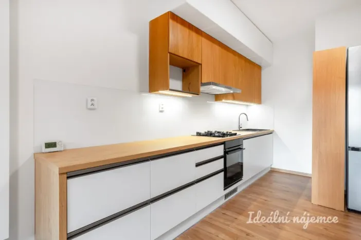 Pronájem bytu 2+kk, Praha - Nusle, Na Jezerce, 52 m2