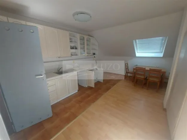 Pronájem bytu 4+kk, Praha, U zeleného ptáka, 113 m2