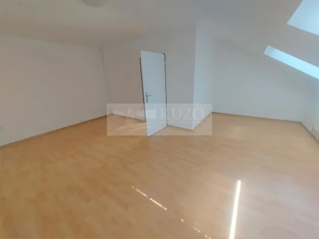 Pronájem bytu 4+kk, Praha, U zeleného ptáka, 113 m2