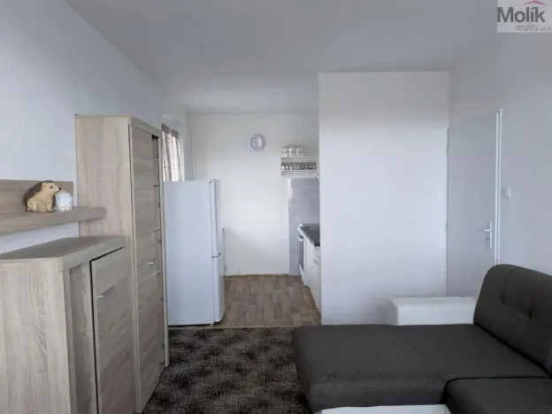 Pronájem bytu 2+kk, Bílina - Teplické Předměstí, Čapkova, 41 m2