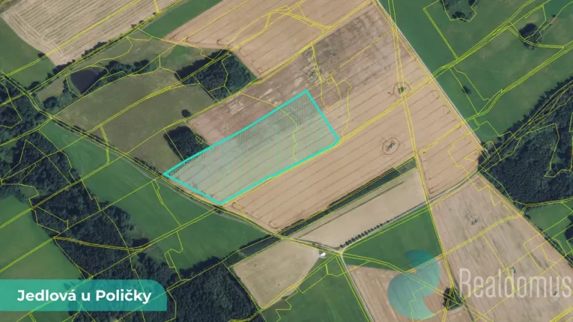 Prodej podílu 1/27 pole, Jedlová, 2196 m2