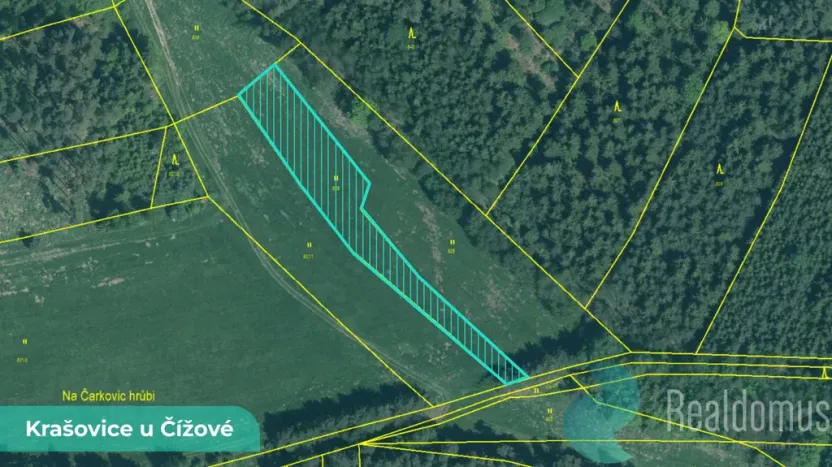 Prodej podílu 1/2 louky, Čížová, 1215 m2