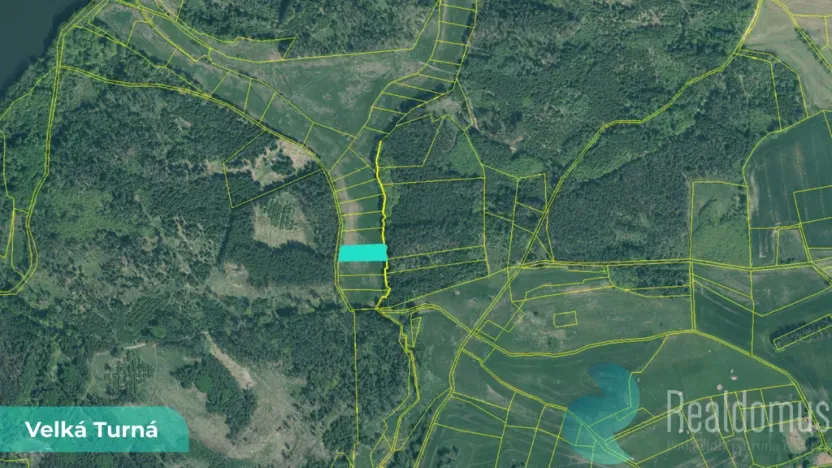 Prodej louky, Velká Turná, 2199 m2