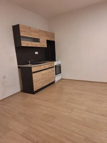 Pronájem bytu 1+kk, Chotěšov, Ořechová, 29 m2