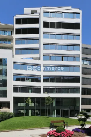 Pronájem kanceláře, Brno, 445 m2