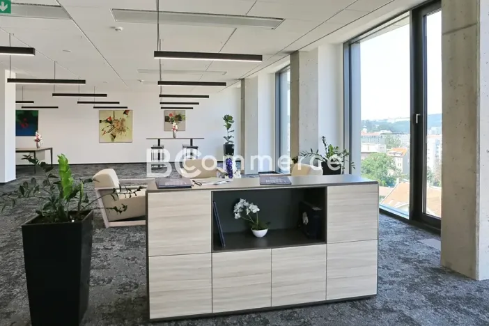 Pronájem kanceláře, Brno, 445 m2