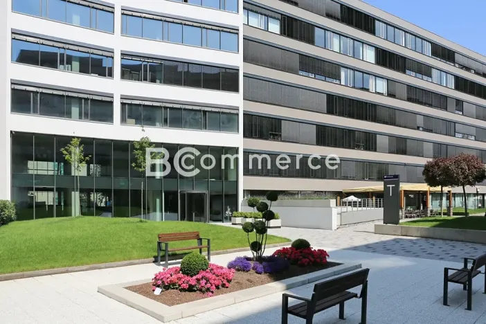 Pronájem kanceláře, Brno, 445 m2