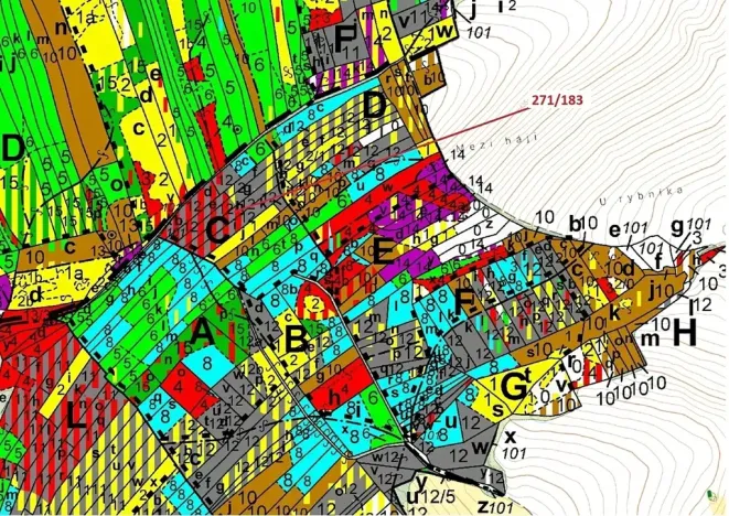Dražba lesa, Milavče, 2398 m2