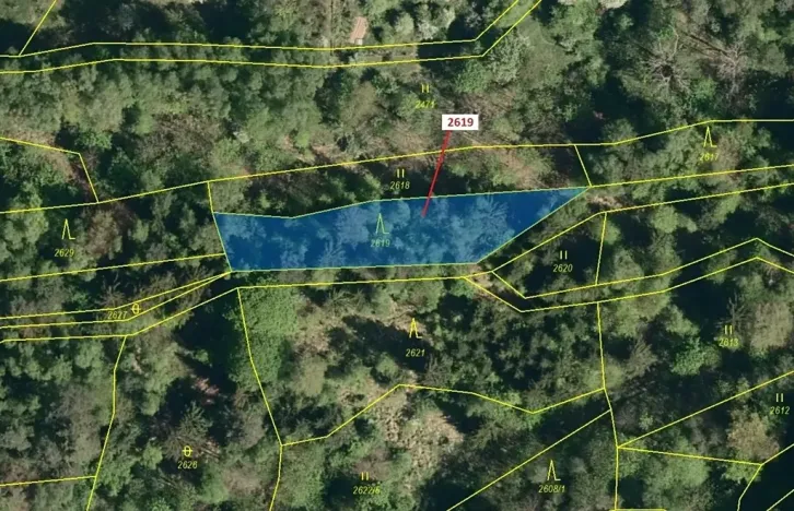 Dražba lesa, Zděchov, 867 m2