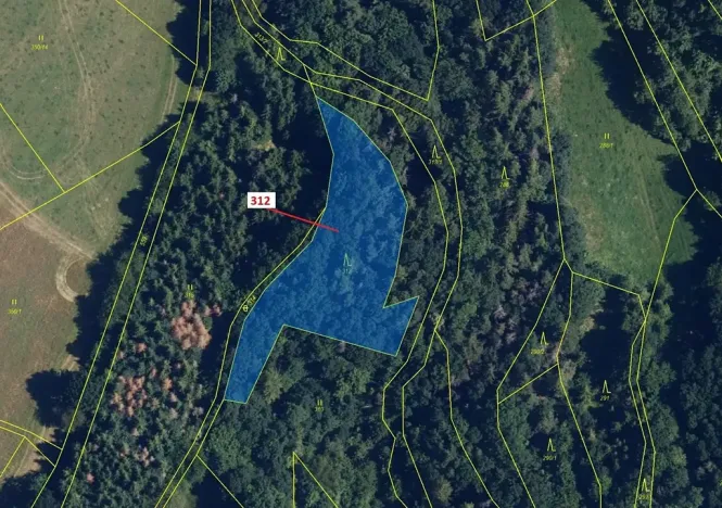 Dražba lesa, Bouzov, 2554 m2