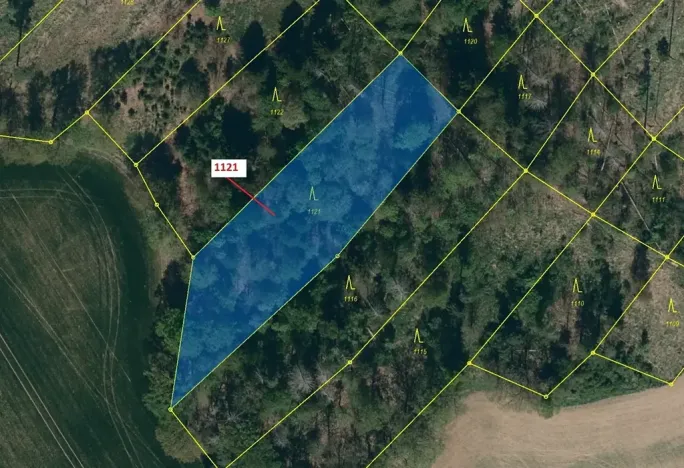 Dražba lesa, Náměšť nad Oslavou, 2998 m2