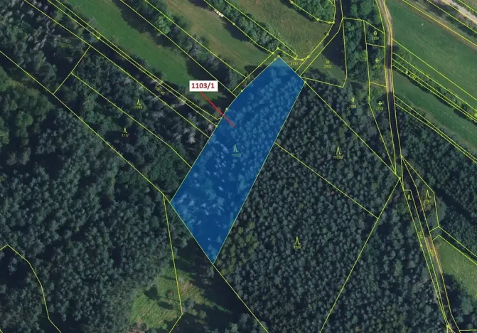 Dražba lesa, Žďárec, 3474 m2