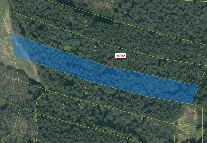 Dražba lesa, Psárov, 7607 m2