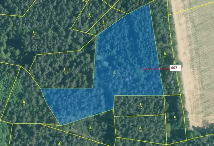 Dražba lesa, Kuřimany, 10437 m2