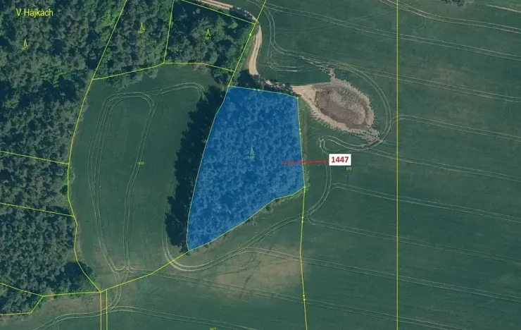 Dražba lesa, Hradiště, 4542 m2