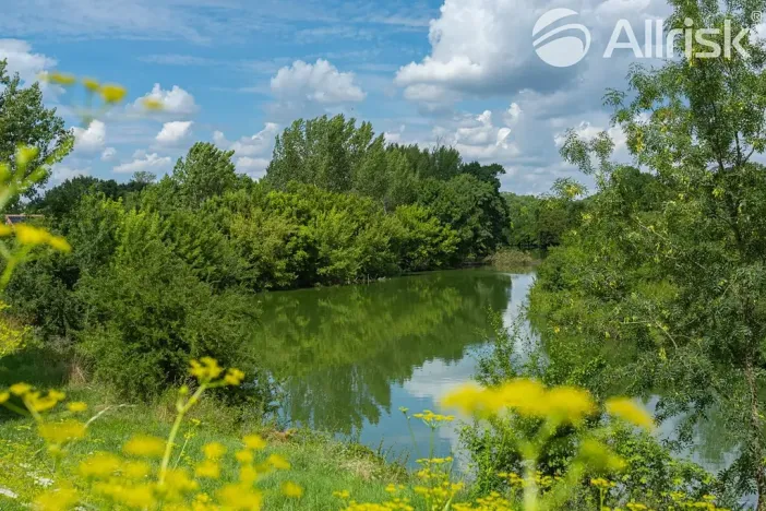 Prodej pozemku pro bydlení, Bulhary, 604 m2