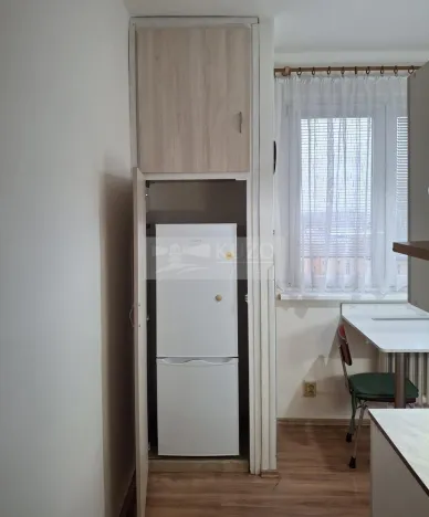 Pronájem bytu 1+1, Olomouc, Jungmannova, 42 m2