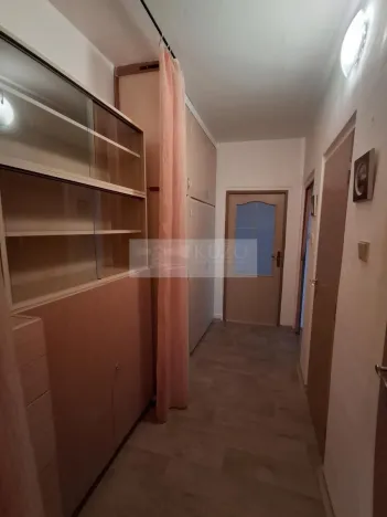 Pronájem bytu 1+1, Olomouc, Jungmannova, 42 m2