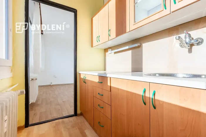 Prodej bytu 1+1, Hrob, Rybniční, 27 m2