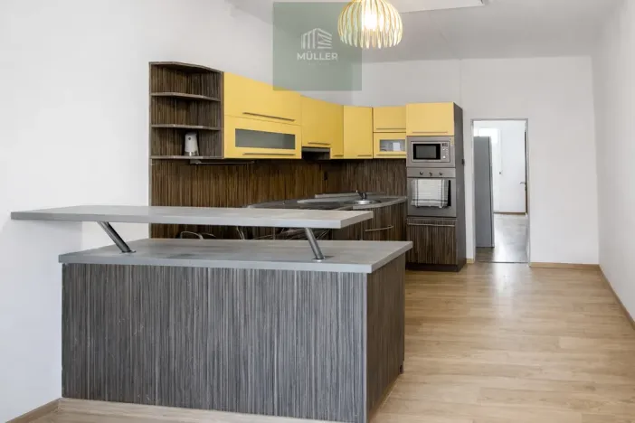 Pronájem bytu 2+kk, Plzeň, Klatovská třída, 52 m2