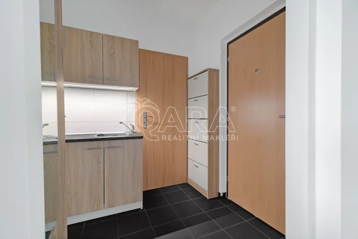 Pronájem bytu 1+1, Ostrava - Přívoz, Arbesova, 39 m2