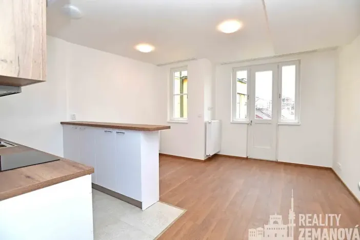 Pronájem bytu 1+kk, Praha - Vinohrady, Řipská, 30 m2