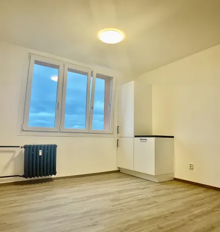 Pronájem bytu 1+1, Plzeň, Komenského, 36 m2