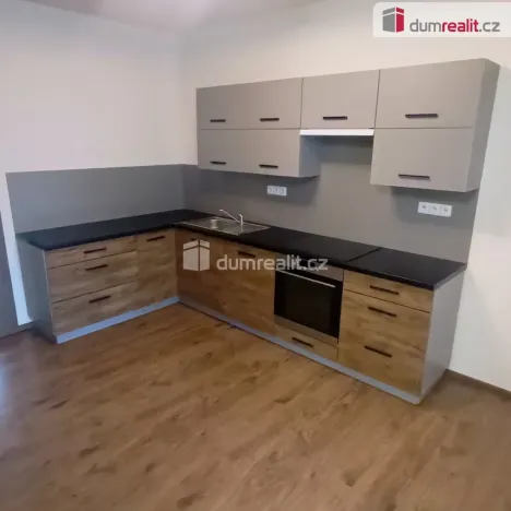 Pronájem bytu 2+kk, Ústí nad Labem - Ústí nad Labem-centrum, Elišky Krásnohorské, 65 m2