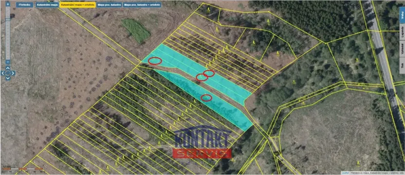 Prodej lesa, Dlouhá Brtnice, 5000 m2