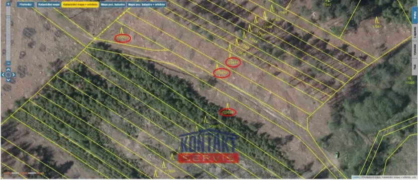 Prodej lesa, Dlouhá Brtnice, 5000 m2