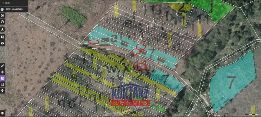 Prodej lesa, Dlouhá Brtnice, 5000 m2