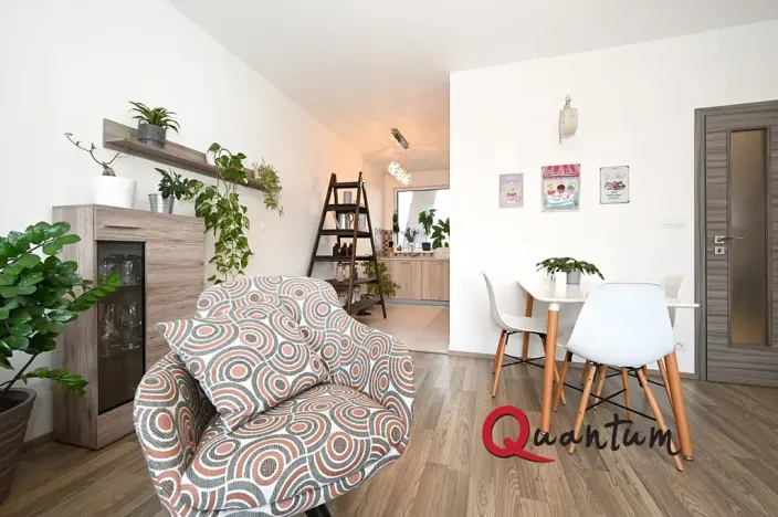 Pronájem bytu 2+kk, Praha - Záběhlice, Švehlova, 67 m2