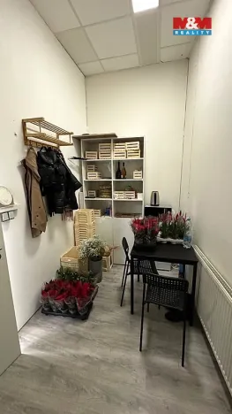 Pronájem obchodního prostoru, Brno - Brno-město, náměstí Svobody, 64 m2