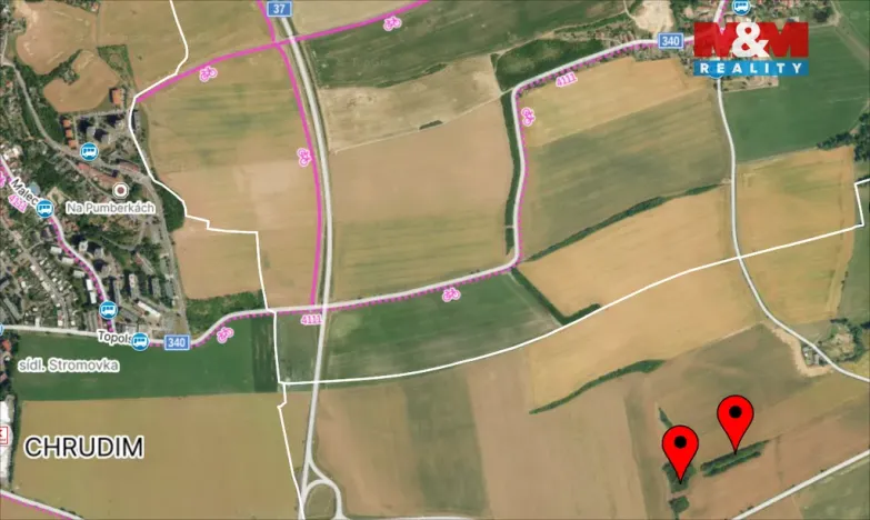 Prodej lesa, Kočí, 5803 m2